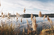 Vertailemalla eri tuotteita ja palveluita voit löytää vähähiilisen ratkaisun.