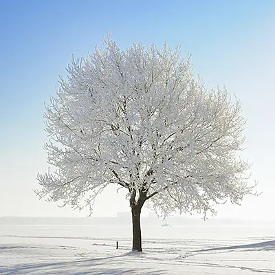 Openco2net_hiilijkadenjalkilaskuri_400x400